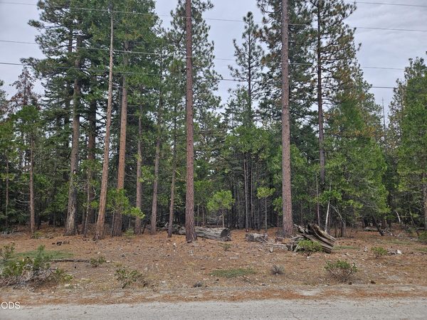 0 Blackbird Drive, Lots 33, 34, 35, Bonanza, OR 97623