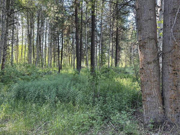 0 Highway 62, Chiloquin, OR 97624