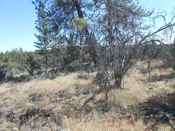 0 Ground Squirrel Drive, Bonanza, OR 97623