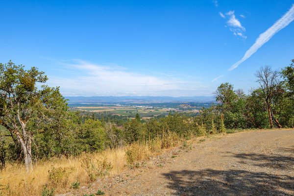 1048 Coleman Hills Drive, 1, Medford, OR 97501