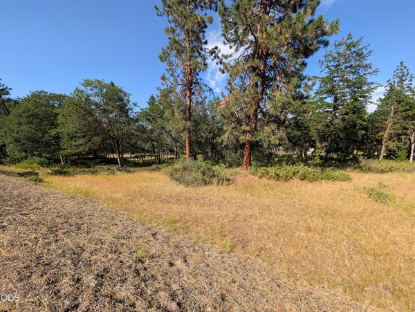 0 Coopers Hawk, 881, Klamath Falls, OR 97601