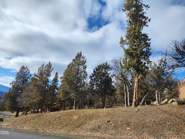 Coopers Hawk, 259, Klamath Falls, OR 97601