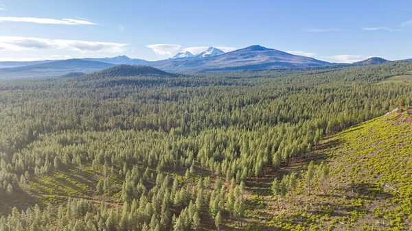 70410 McAllister Road, FS Road 2060, Sisters, OR 97759