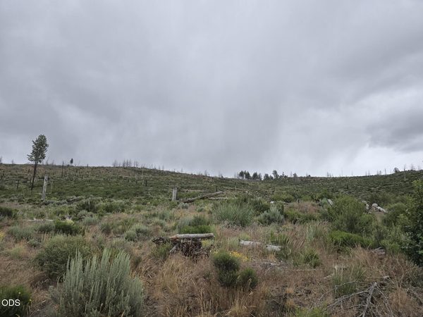Ram Road, 30, Chiloquin, OR 97624