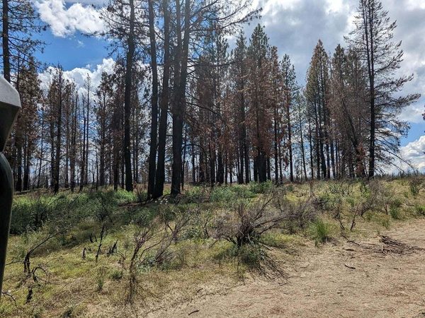 0 Bull Pine Road, Bly, OR 97622