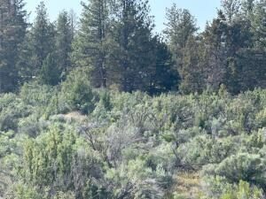 0 Council Butte, Lot 7, Beatty, OR 97621