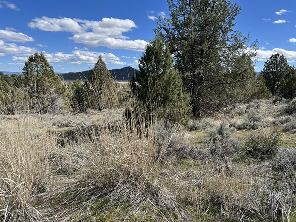 0 Shasta Street, Sprague River, OR 97639