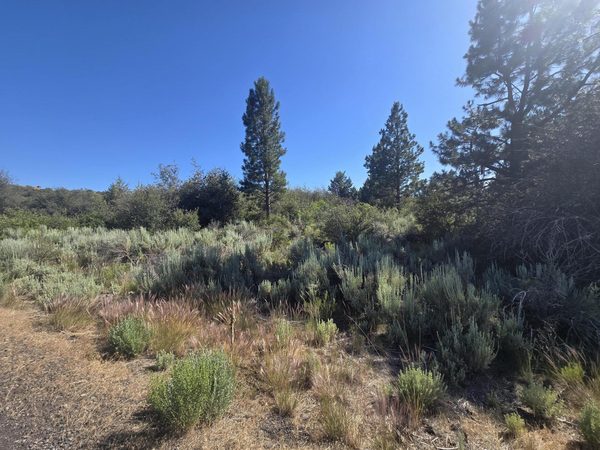 Wrightwood, Lot 28, Chiloquin, OR 97624
