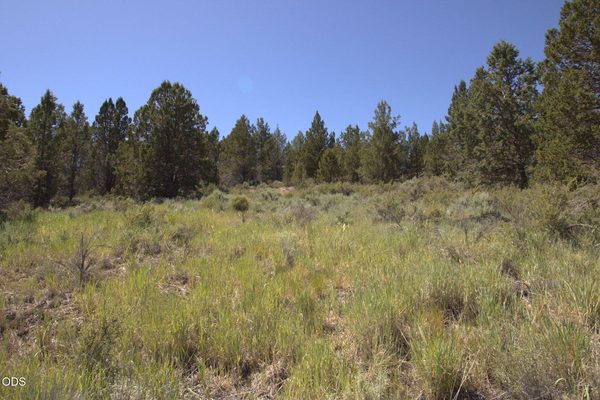 Wasco Street, Lot 3, Sprague River, OR 97639