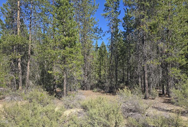 5 Mowich Street, Crescent Lake, OR 97733