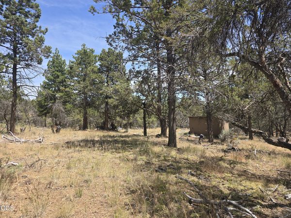 11436 Wildhorse Drive, Bonanza, OR 97623