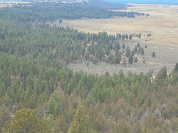 0 Tableland Road, 3400, Sprague River, OR 97639