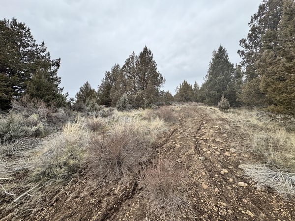 0 Drews Road, 6, Sprague River, OR 97639