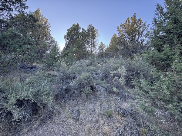 0 Wasco Street, 100, Sprague River, OR 97639