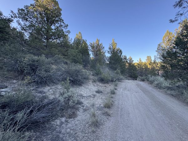 0 Shasta, 7, Sprague River, OR 97639
