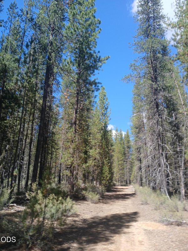 0 Schoonover 5 Road, Lot #3600, Crescent, OR 97733