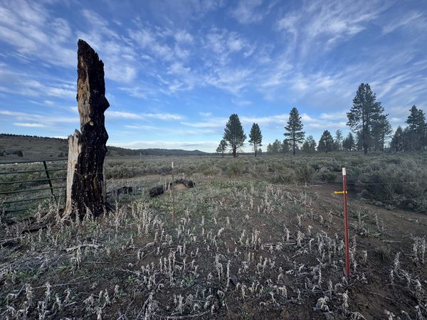 0 Mule Deer Drive, 1, Sprague River, OR 97639