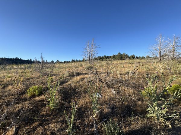 0 Curry Street, 112, Sprague River, OR 97639