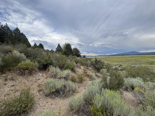 0 Clackamas Street, 16, Sprague River, OR 97639