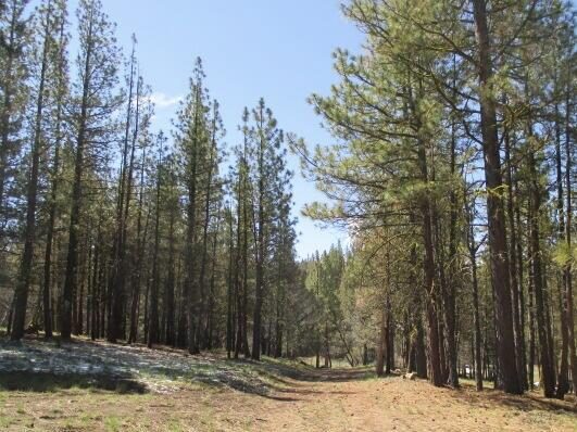 Partin Drive, 2, Beatty, OR 97621