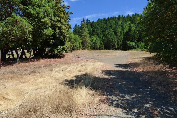 458 Sunny Valley Loop, Wolf Creek, OR 97497