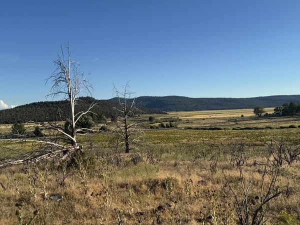 0 Curry Street, 129, Sprague River, OR 97639